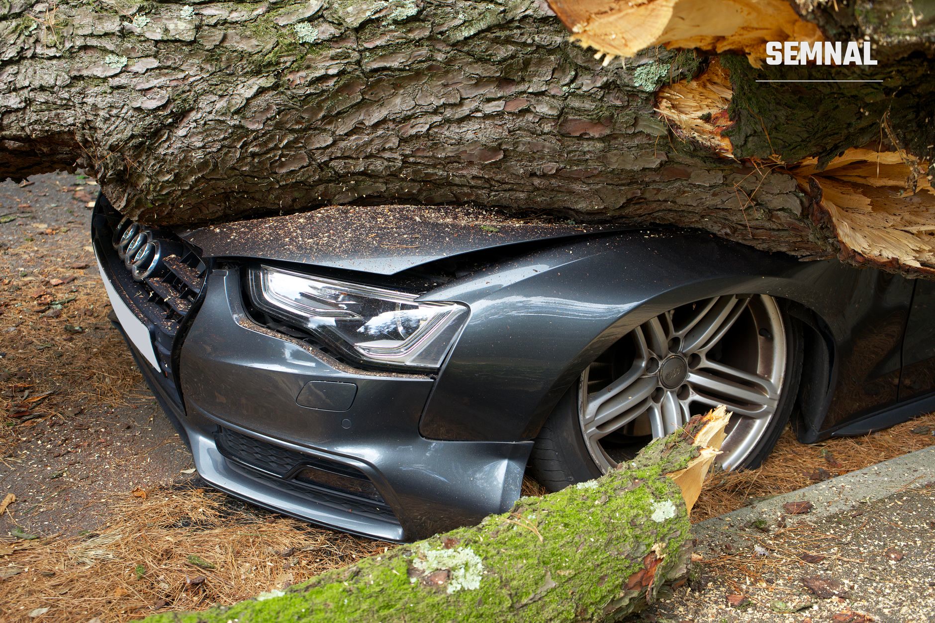 Automobil sedan gri grav deteriorat sub un trunchi imens de copac rupt, ilustrând o pagubă totală acoperită de asigurarea CASCO pentru daune accidentale și calamități naturale. (Foto: Mike Bird / Pexels)