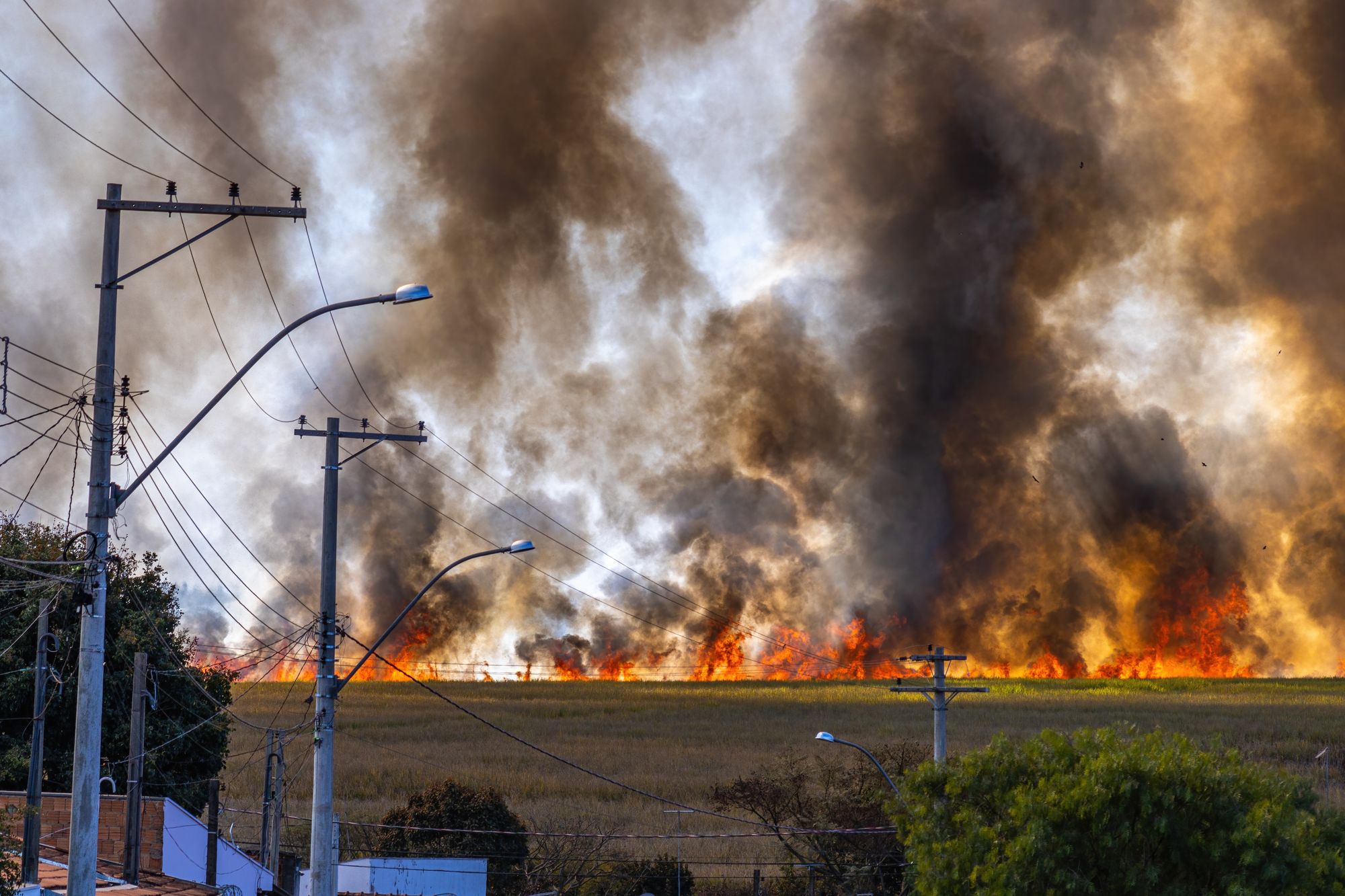 Incendii în Grecia: evacuări cu barca de pe plaje