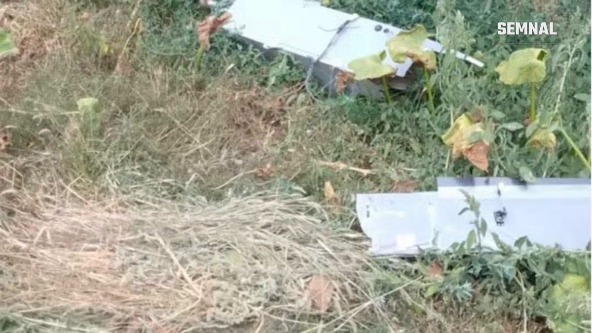 Bucăți din structura dronei, împrăștiate în vegetația de la marginea unei culturi agricole din zona Ciușlea, județul Vrancea