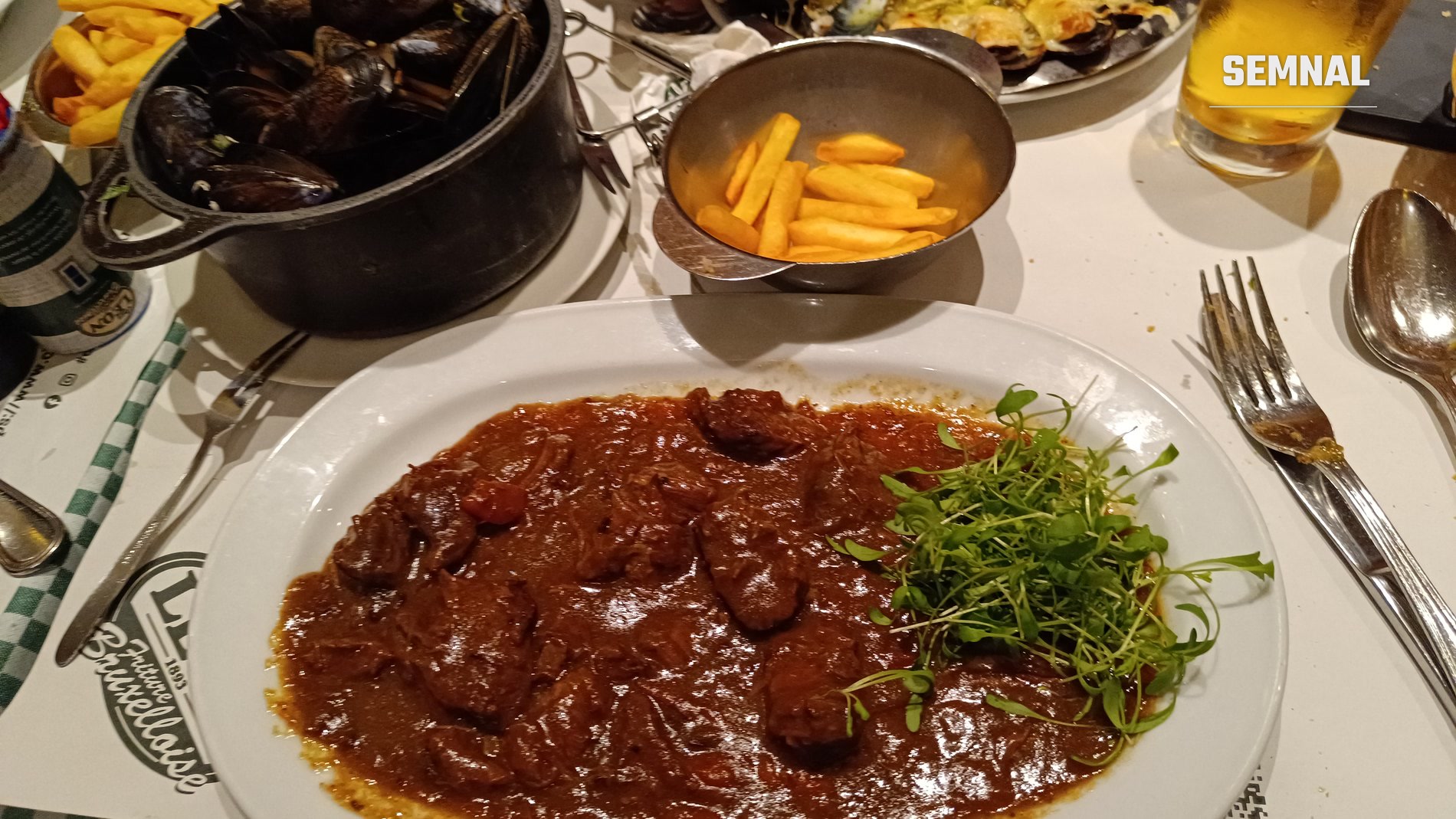 Tocană belgiană carbonnade în sos brun, servită cu frites separat