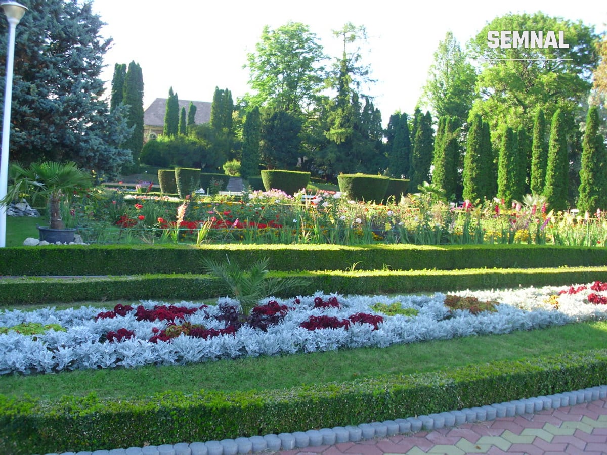 Alee cu vegetație densă și copaci înalți în Grădina Botanică din Jibou, fostul parc al Castelului Wesselényi