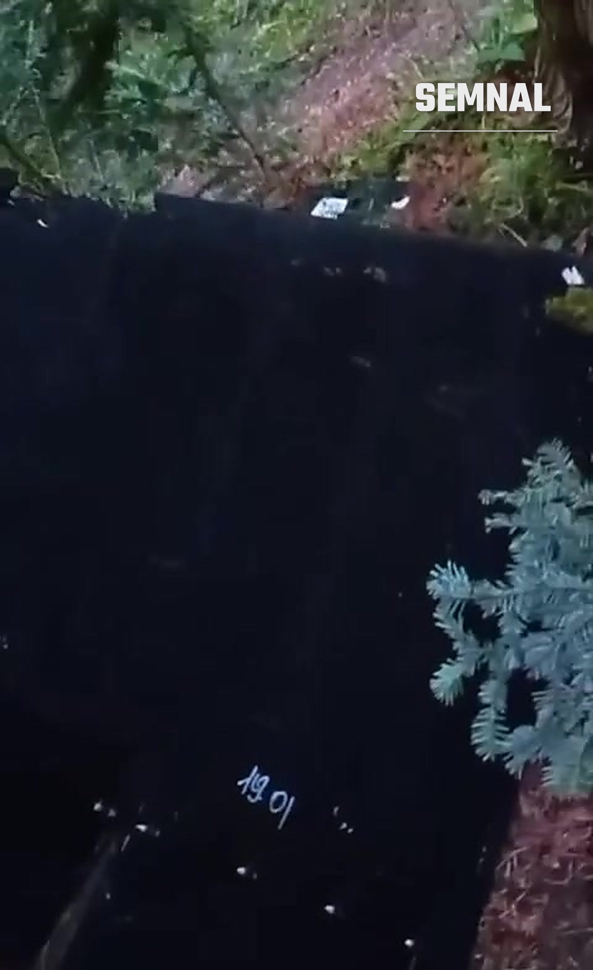 Bucăți din carcasa dronei, printre brazi tineri