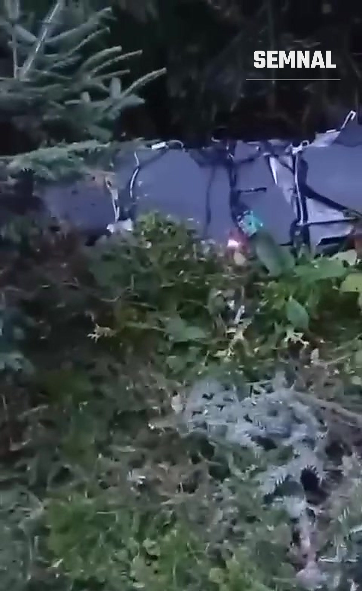 Resturi ale dronei, lângă un pâlc de brazi