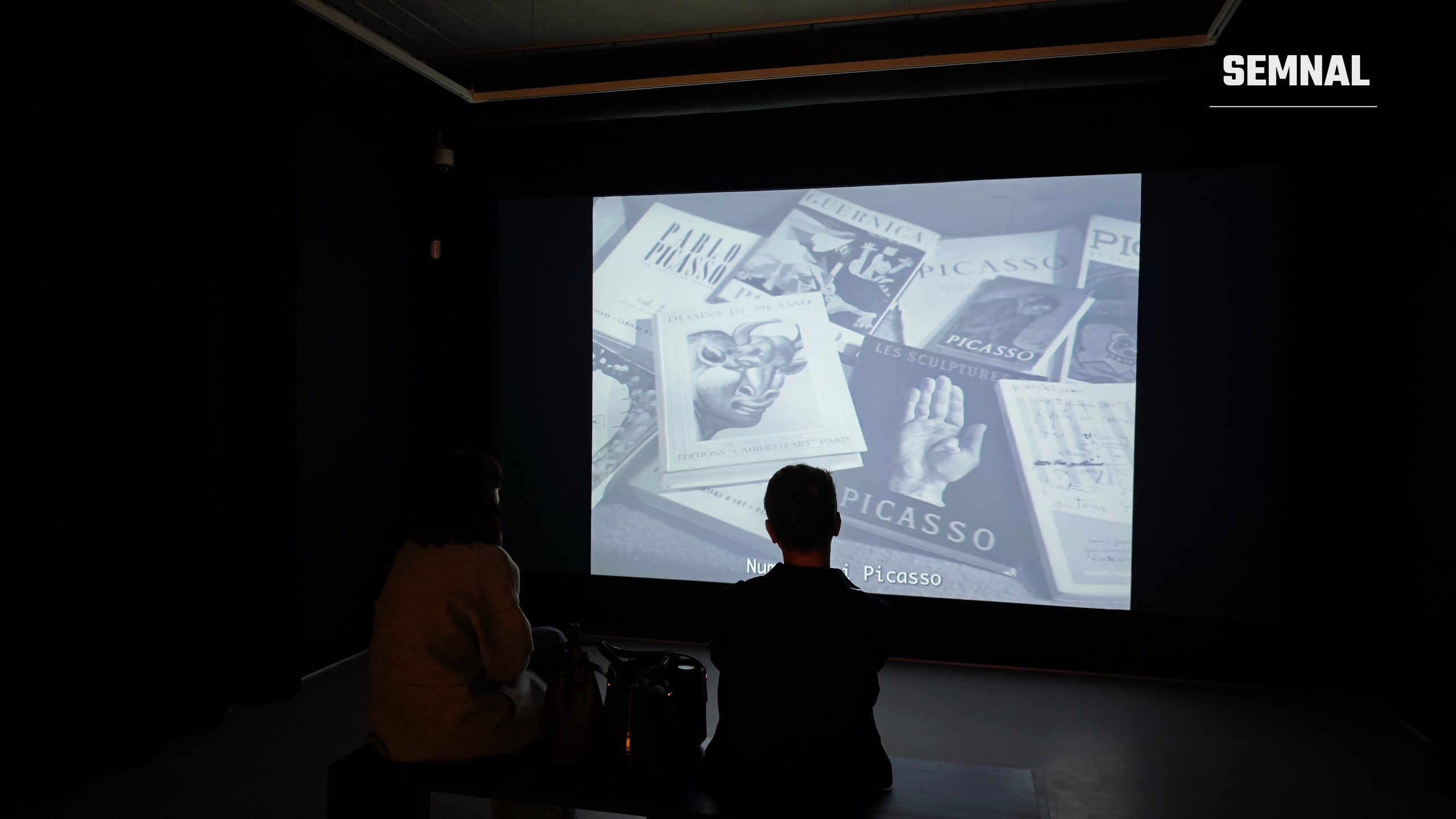 Proiecția filmului documentar Vizită la Picasso, din 1949. Fotografie realizată de Lucian Dinu