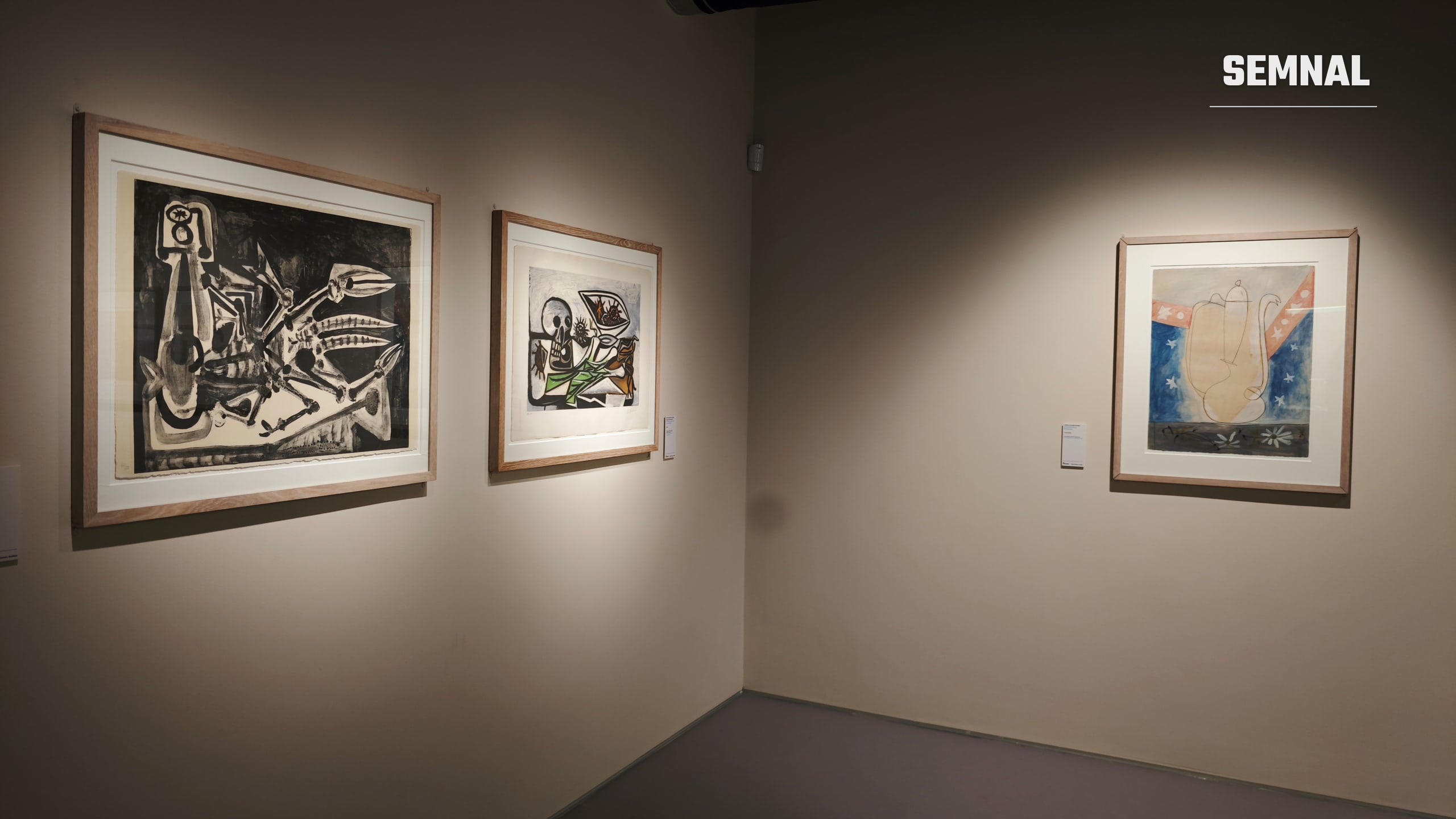 Lucrări grafice ale lui Picasso expuse la Art Encounters. Fotografie realizată de Lucian Dinu