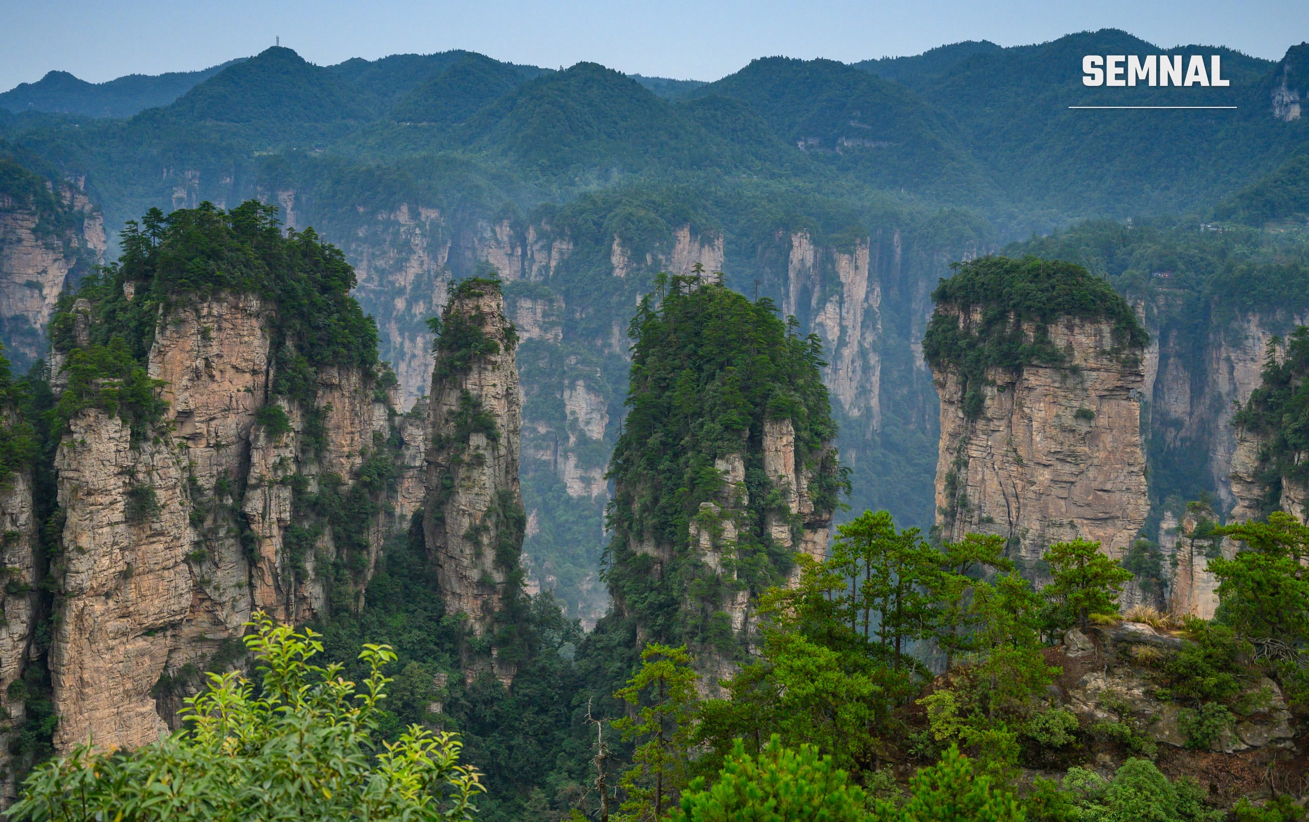 Stânci abrupte acoperite de pădure se ridică dintr-o vale învăluită în ceață, în parcul național Zhangjiajie din China, locul asociat cu peisajele din Avatar. Foto: xiquinhosilva / Flickr, via Wikimedia Commons (CC BY 2.0)
