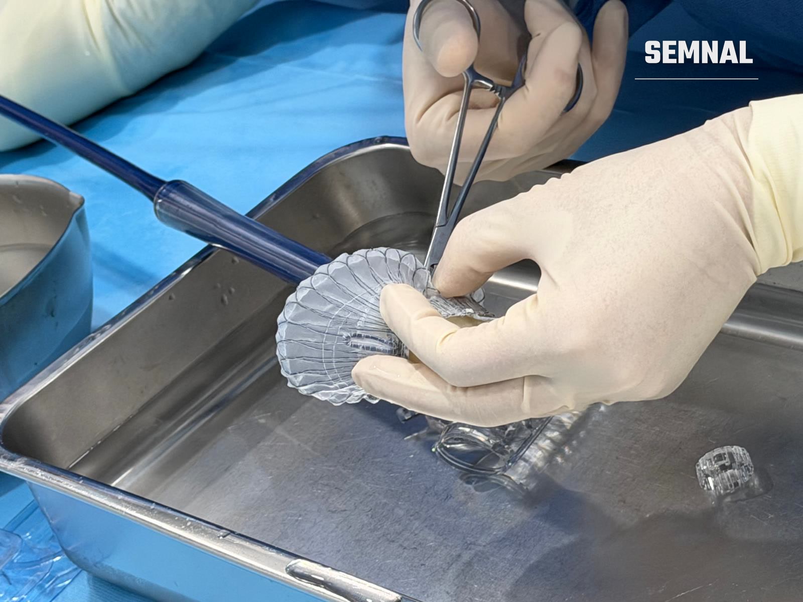 Pregătirea valvei biologice LuX-Valve Plus înainte de implantare. Foto: SCU București