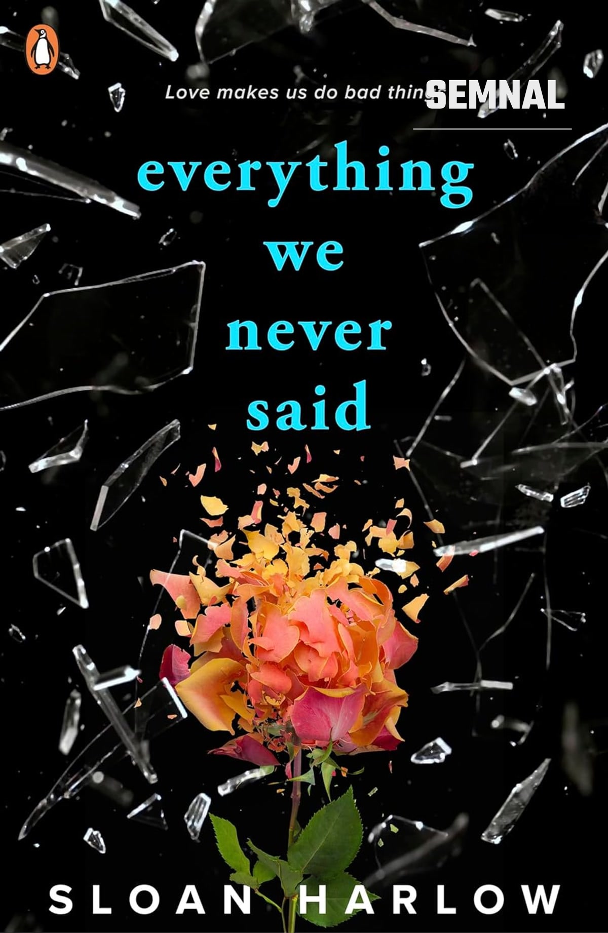 Coperta romanului „Everything We Never Said” de Sloan Harlow
