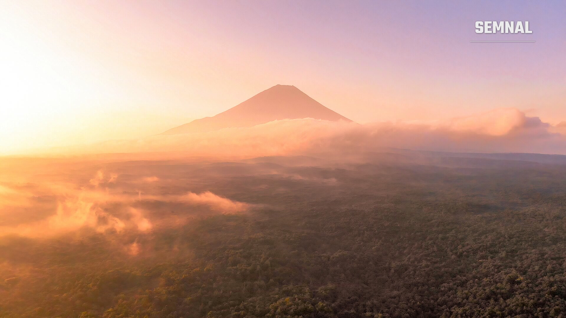 Muntele Fuji la răsărit, văzut de sus: vârful se ridică deasupra norilor portocalii, iar în prim-plan se întinde o pădure acoperită de ceață. (Foto: Giles Laurent / Wikimedia Commons, CC BY-SA 4.0)