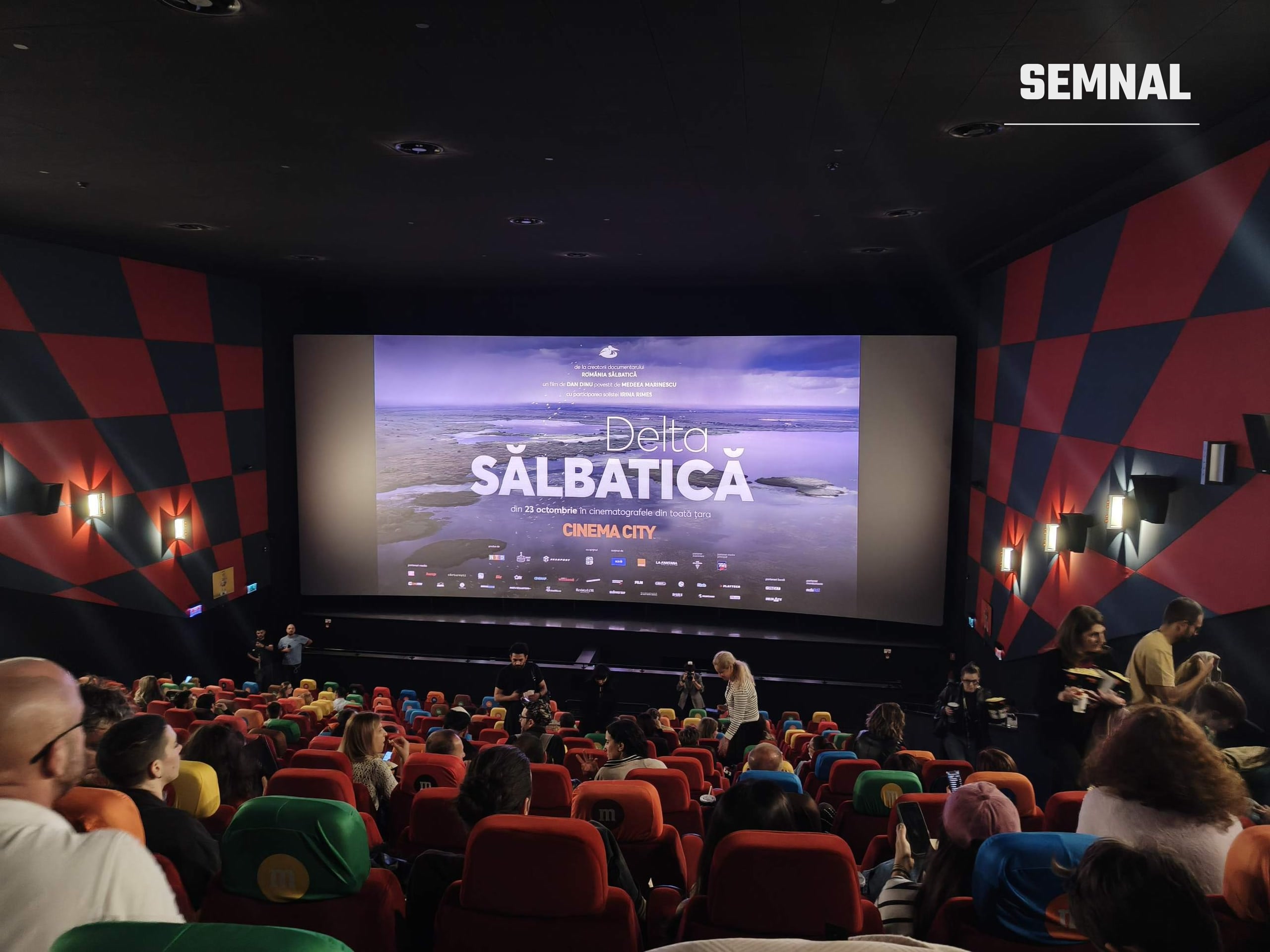 Sala Cinema City înainte de avanpremiera documentarului „Delta Sălbatică” (Fotografie realizată de Alina Petrea)