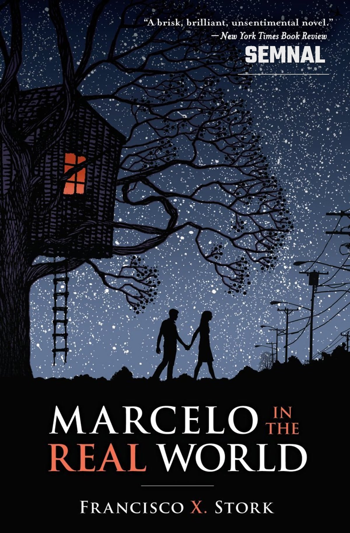 Coperta romanului „Marcelo in the Real World” de Francisco X. Stork
