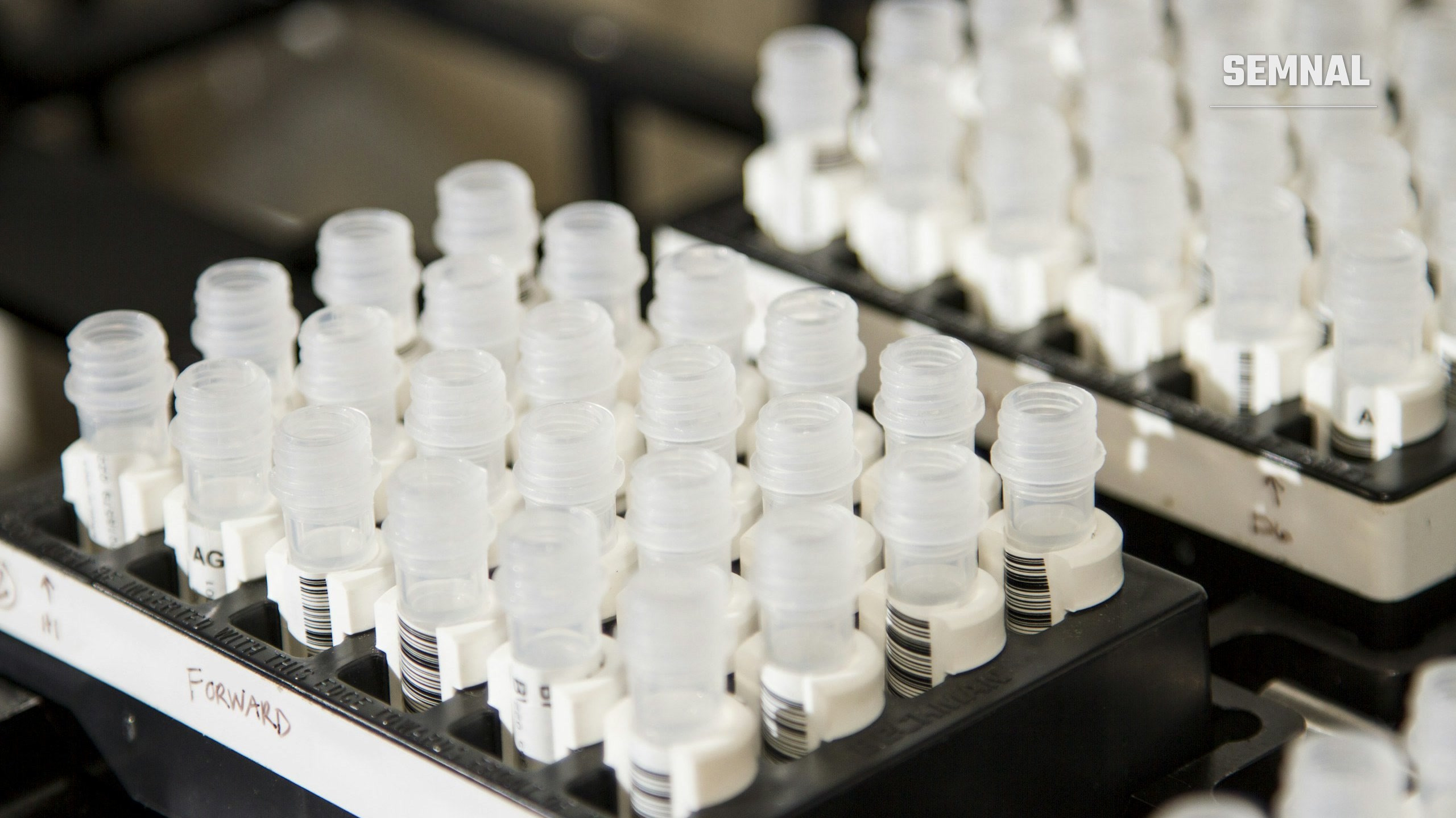 Fiole transparente etichetate cu coduri de bare, așezate în rafturi negre, pentru probe de ADN într-un laborator de genetică