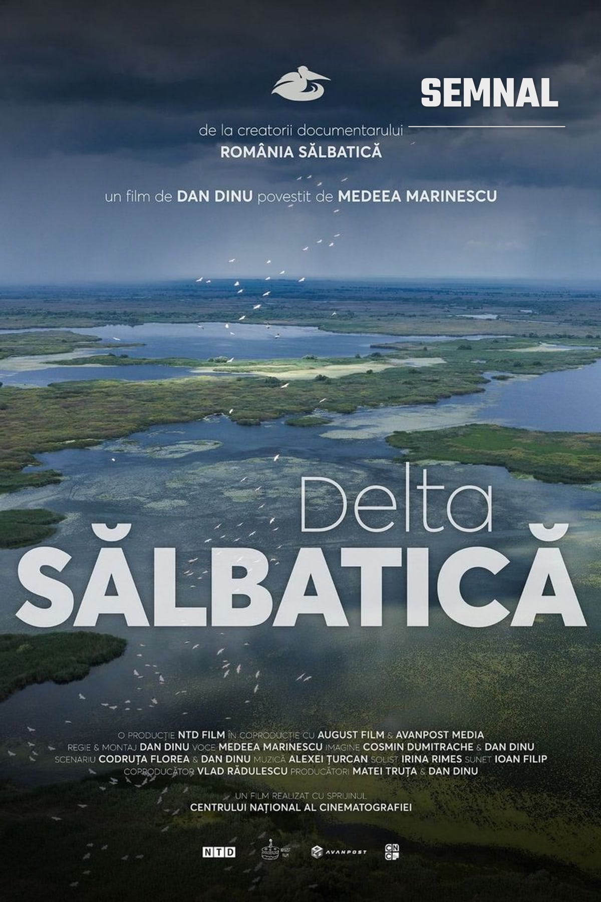 Afișul documentarului „Delta sălbatică”, cu o vedere aeriană a Deltei Dunării și stoluri de păsări deasupra apei. Sursa: Cineplexx