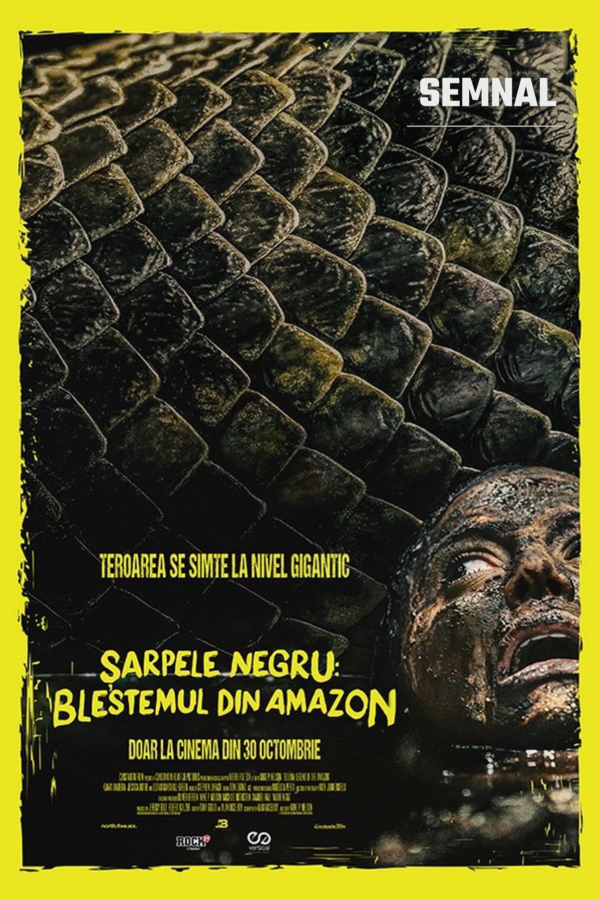Afișul filmului Șarpele negru: Blestemul din Amazon: solzii unui reptile uriaș și chipul înspăimântat al unui om, pe jumătate scufundat în apă