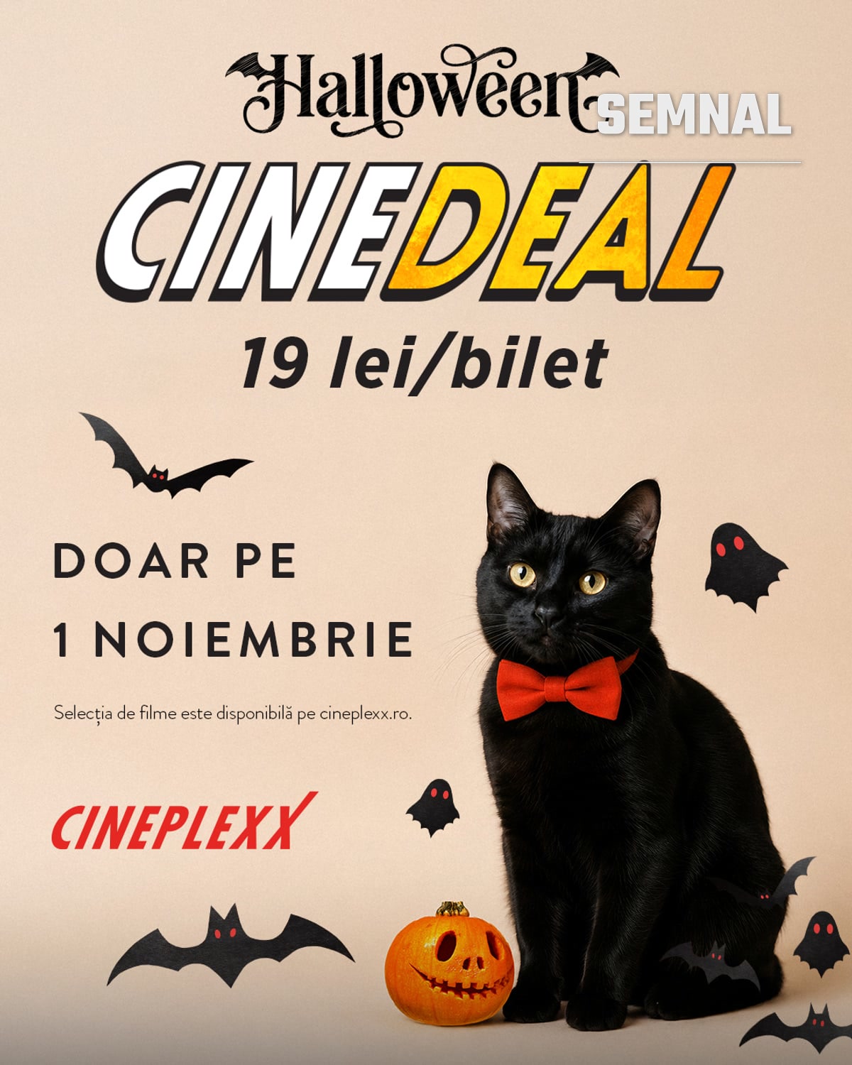 Grafica Halloween CineDeal: o pisică neagră cu papion roșu, o dovleac sculptat, lilieci și fantome decorative, alături de prețul de 19 lei pe bilet