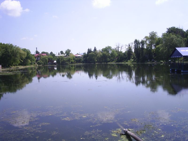 Balta care „fură” bărbați tineri