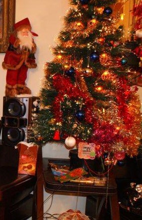 Povestea lui `Stille Nacht`