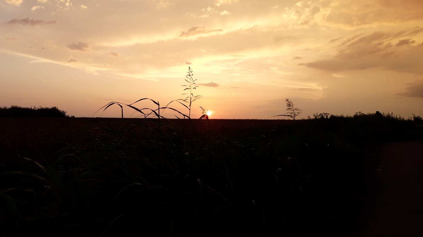 Libertate sau singurătate?