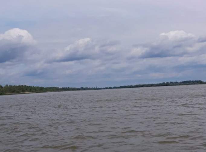 Domnișoara Blue