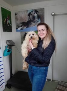 Piki, cățelul care „a iubit florile prea mult”.De la abandon, la o viață plină de iubire