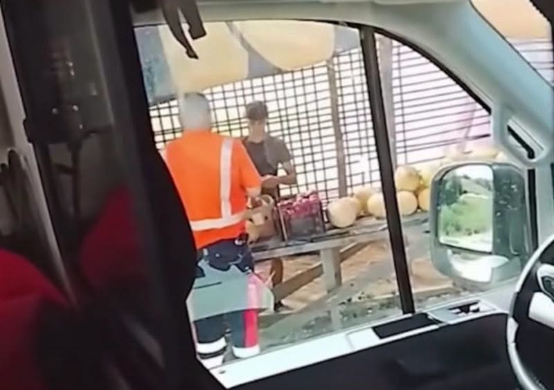 Ambulanță SMURD, ilustrativ pentru un serviciu de urgență medicală