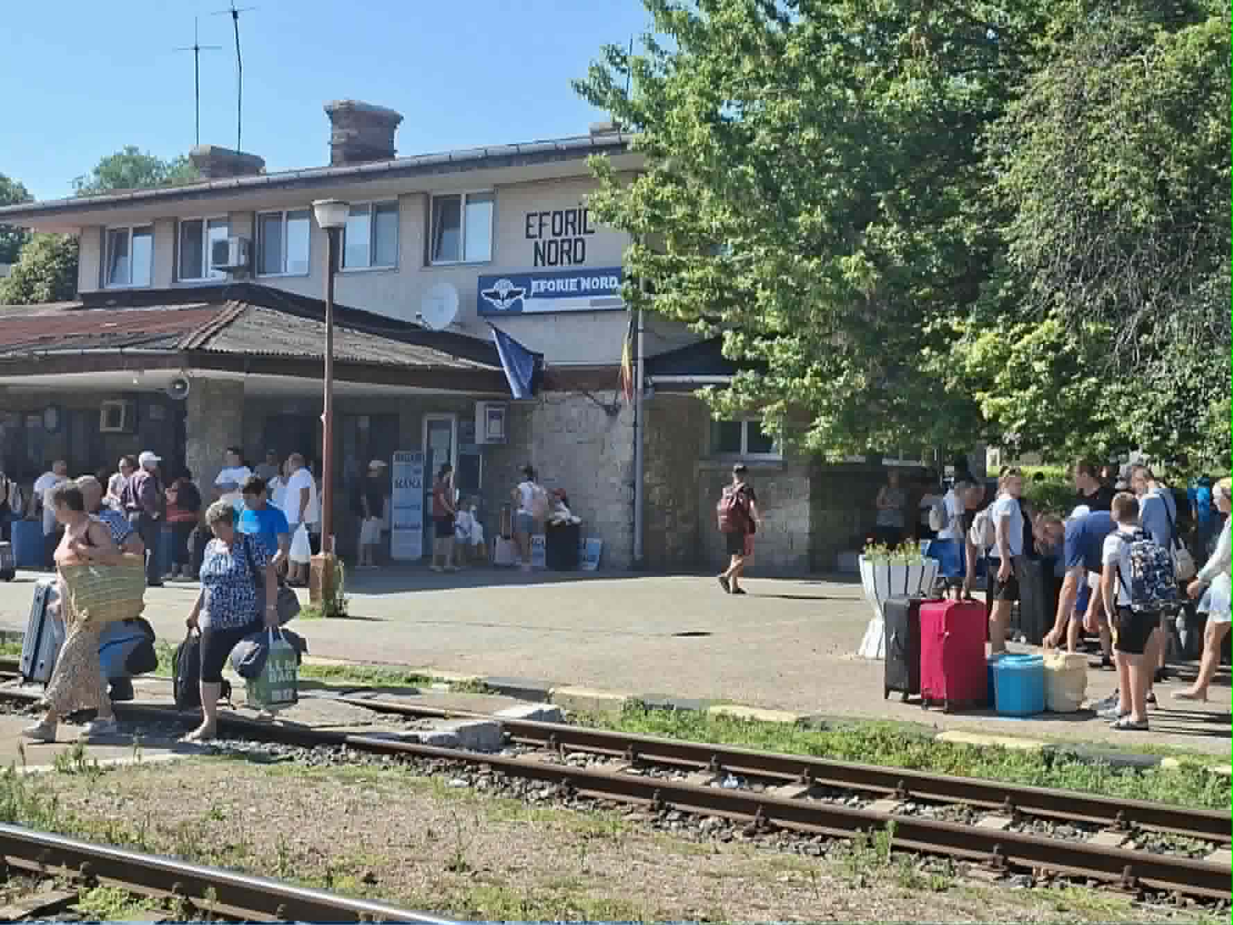 efo 11.jpg