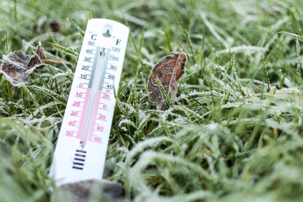 Ucraina, record de temperatură minimă: 4,9 grade Celsius în august