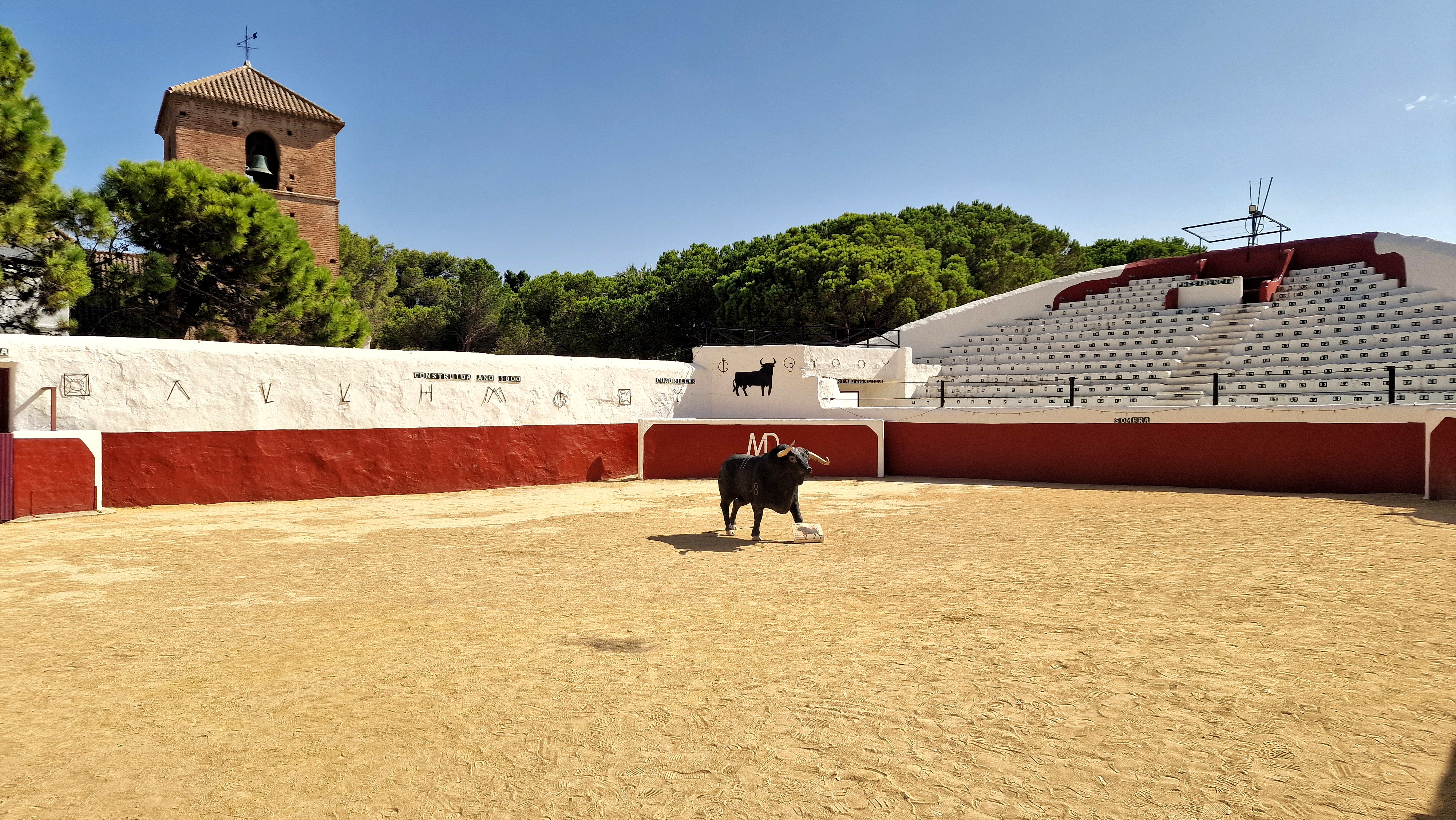 corrida.jpg