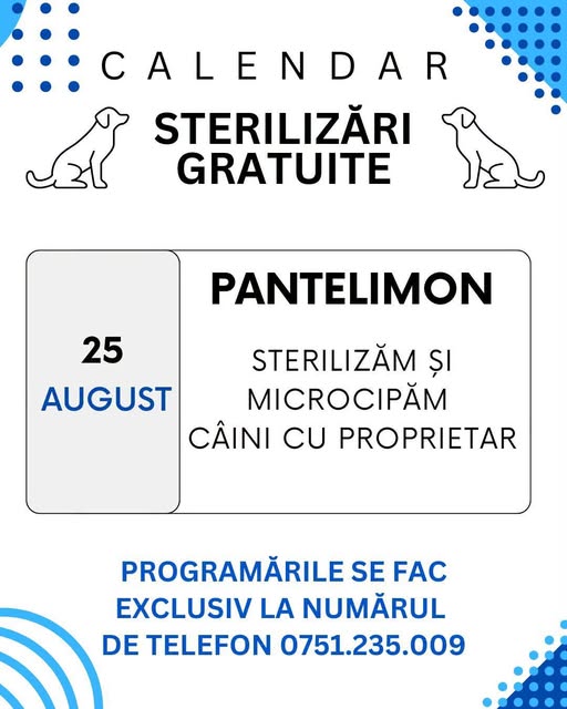 Campanie gratuită de sterilizare și microcipare a câinilor în Pantelimon