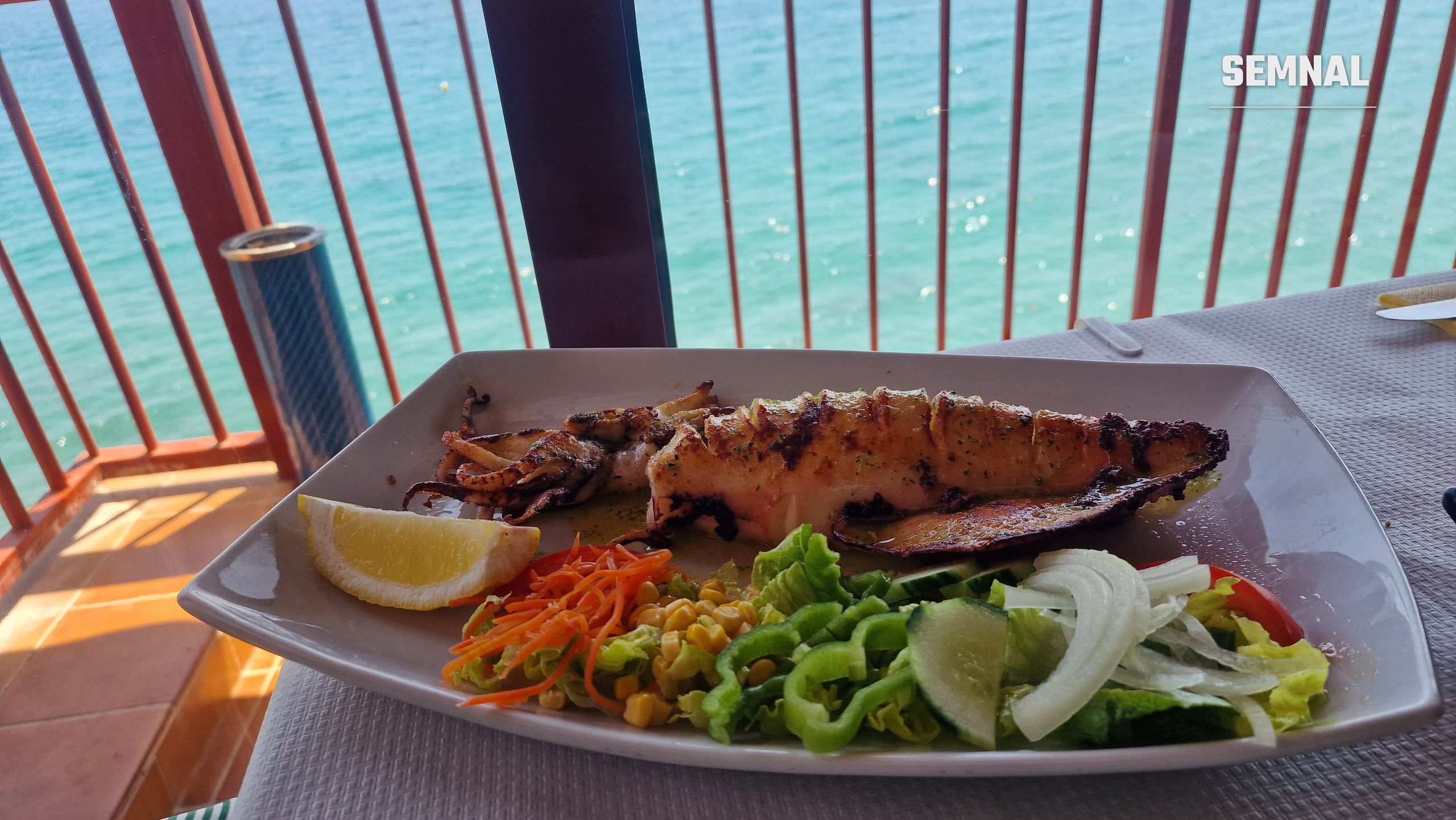 Calamar pe gratar Nerja