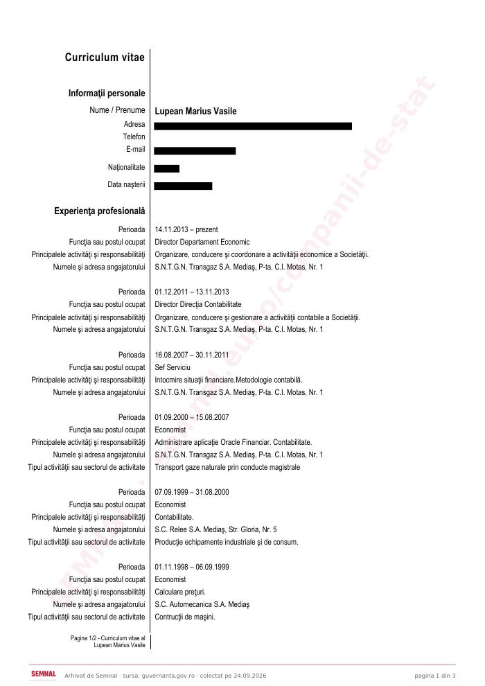 Prima pagină din CV-ul lui Marius Vasile Lupean, Director Financiar la Societatea Naţională de Transport Gaze Naturale Transgaz SA
